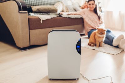 Dehumidifier Replacement in Columbus, OH